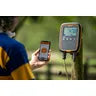 W-0 Weigh Scale