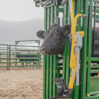 Arrowlock 88 Series Cattle Squeeze Chute- Call for Pricing