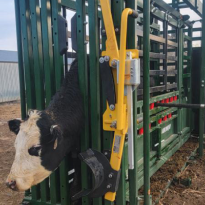 Arrowlock Cattle Head Gate