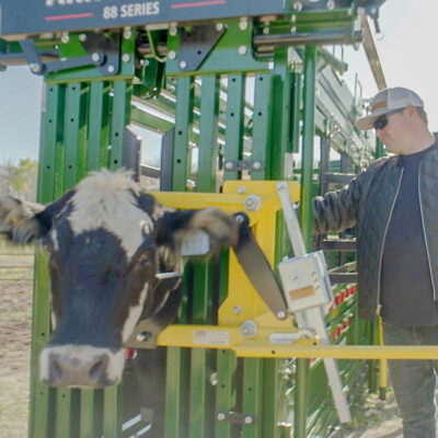 Arrowlock 88 Series Cattle Squeeze Chute- Call for Pricing