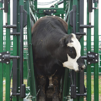 The Major Heavy Duty Squeeze Chute